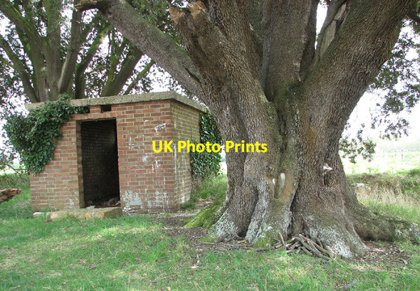 Photo 6"x4" Home Guard shelter, Buckenham Buckenham c2013