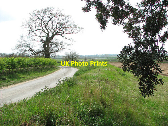 Photo 6"x4" To Buckenham station on Station Road Buckenham c2013