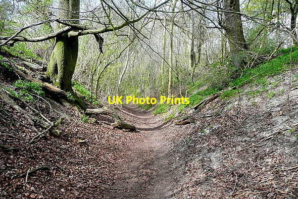 Photo 6"x4" Bridleway from Cookley Green Cookley Green\/SU6990 c2013