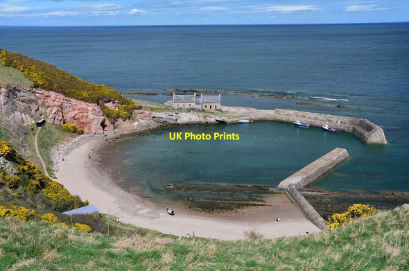 Photo 6"x4" Cove Harbour from the cliff path Cove\/NT7771 c2013