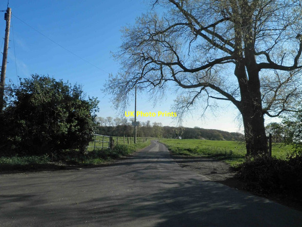 Photo 6"x4" Bridleway to Woodlands Farm, Bradley Bradley\/TA2406 c2013