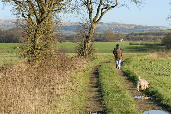 Photo 6"x4" Walking the dog Standish\/SD5610 c2007