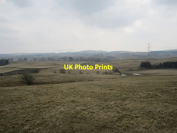 Photo 6"x4" Winter pasture Douglas Water\/NS8736 c2013