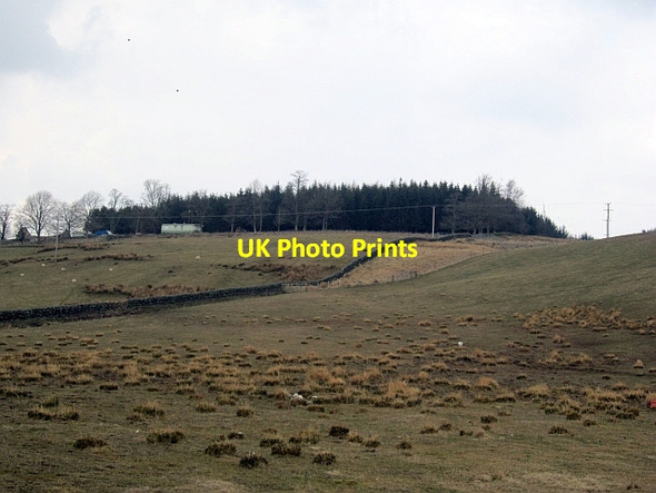 Photo 6"x4" By Millhouse Cottage Douglas Water\/NS8736 c2013