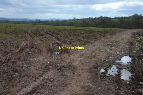 Photo 6"x4" Farmland near Caldicot Farm Broad Oak\/SO4821 c2013