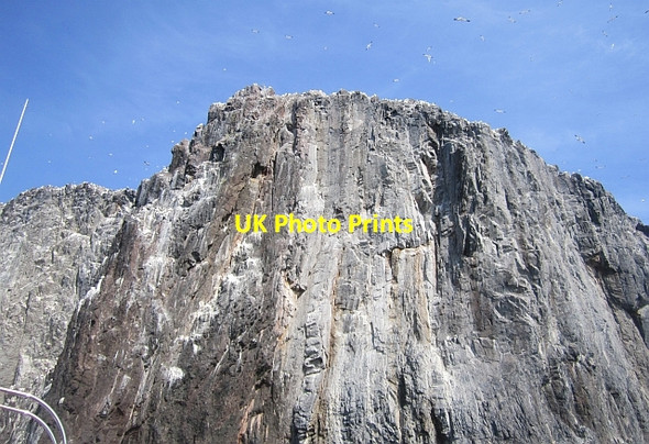 Photo 6"x4" Crags, Bass Rock Bass Rock c2013