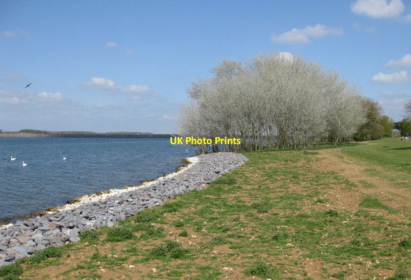 Photo 6"x4" Rutland Water, springtime Empingham c2013