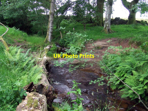Photo 6"x4" The Brueacre Burn Wemyss Bay\/NS1969 c2012 P1