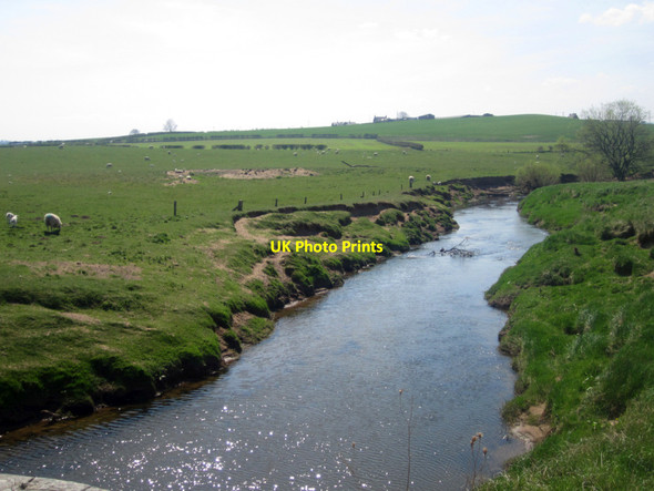 Photo 6"x4" Looking downstream along the River Till Chatton c2013