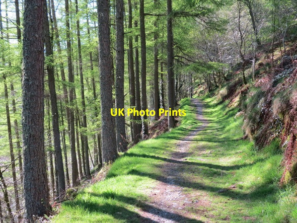 Photo 6"x4" Llwybr Gwernol Footpath Abergynolwyn c2013