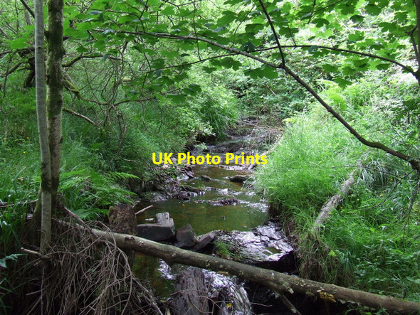 Photo 6"x4" The Brueacre Burn Wemyss Bay\/NS1969 c2012 P2