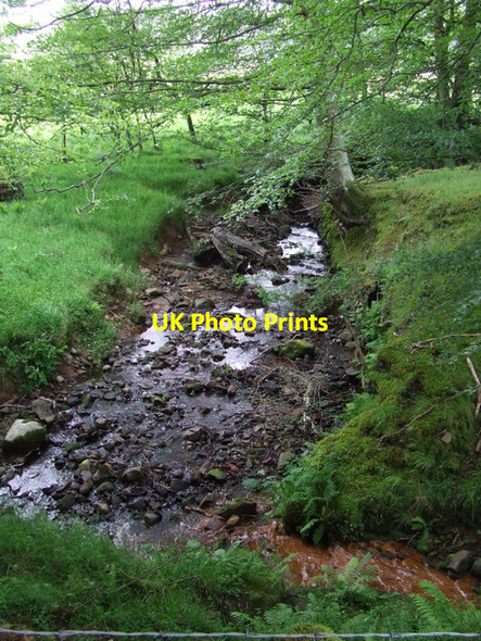 Photo 6"x4" The Brueacre Burn Wemyss Bay\/NS1969 c2012