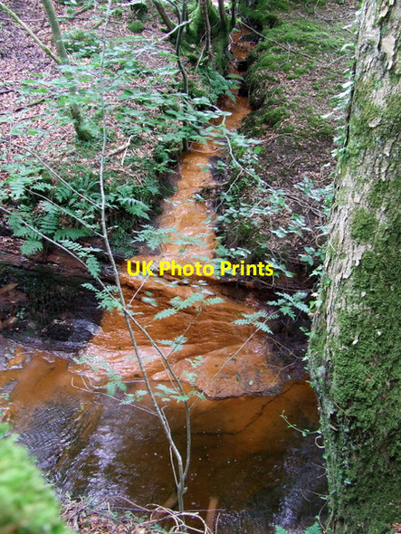 Photo 6"x4" The Brueacre Burn Wemyss Bay\/NS1969 c2012