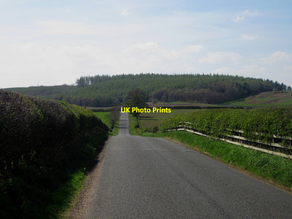Photo 6"x4" Country road near Broomhouse Chatton c2013