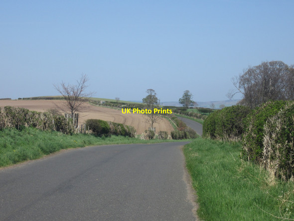 Photo 6"x4" Country road near Howemoor Plantation Newtown\/NU0425 c2013