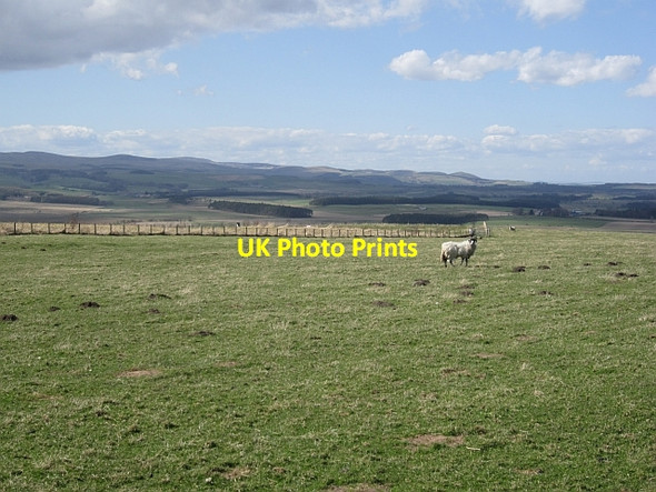 Photo 6"x4" Pasture, Beanley Beanley c2013