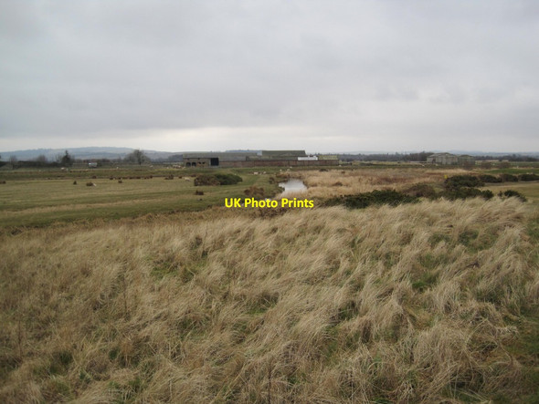 Photo 6"x4" North Low and Goswick Farm Cheswick c2013