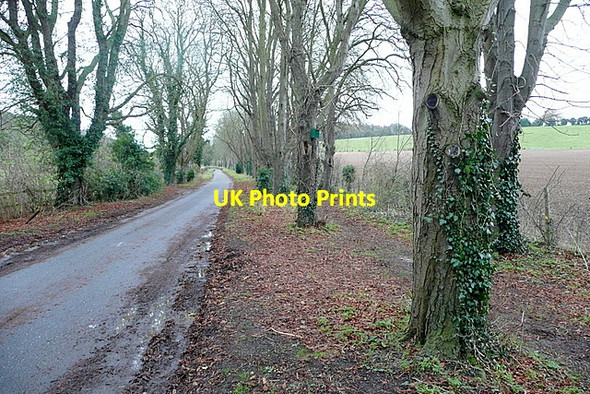 Photo 6"x4" Battle Road Cleeve\/SU6081 c2012