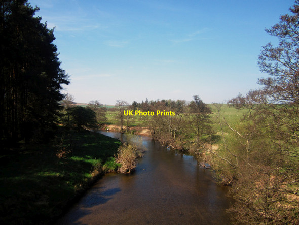 Photo 6"x4" The River Till seen from Newtown Bridge Newtown\/NU0425 c2013