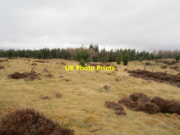 Photo 6"x4" Meall nan Clachan Tressair c2013