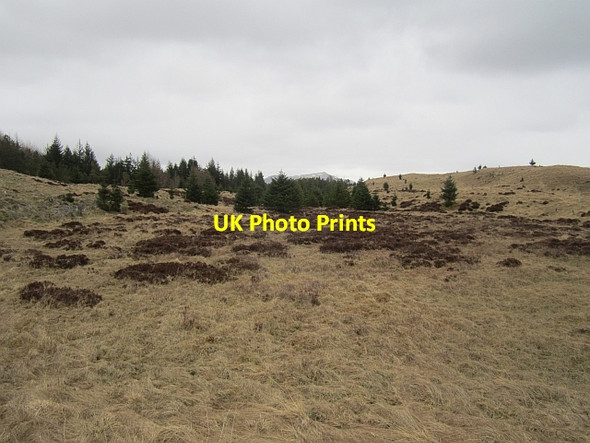 Photo 6"x4" Boggy hollow Bruar c2013