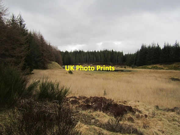Photo 6"x4" Lochan na Leathain Tressair c2013