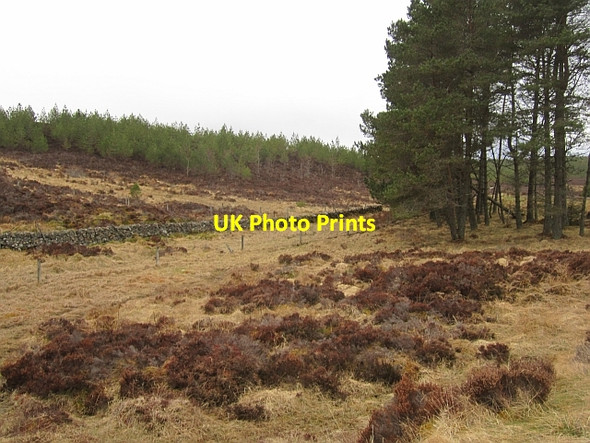 Photo 6"x4" Moorland edge Tressair c2013