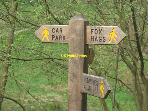 Photo 6"x4" The way to ...... Lodge Moor\/SK2885 c2013