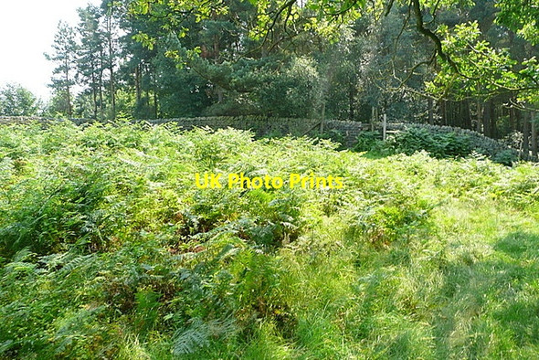 Photo 6"x4" Track above Dobb Edge Baslow c2012