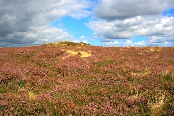 Photo 6"x4" Round Hill Urra c2008