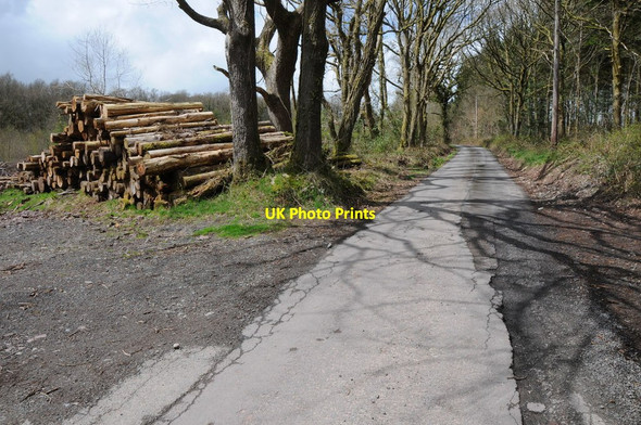 Photo 6"x4" Coed Dyfodol Sarnau Sarnau\/SO0232 c2013