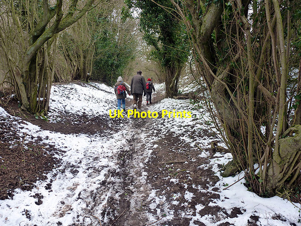 Photo 6"x4" On Tatmorehills Lane Gosmore c2013
