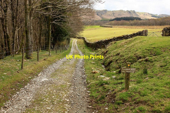 Photo 6"x4" Footpath to Beckfoot Ulpha\/SD1993 c2013