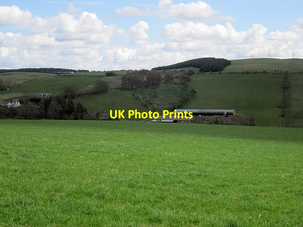 Photo 6"x4" Grass, Housebyres Easter Housebyres c2013