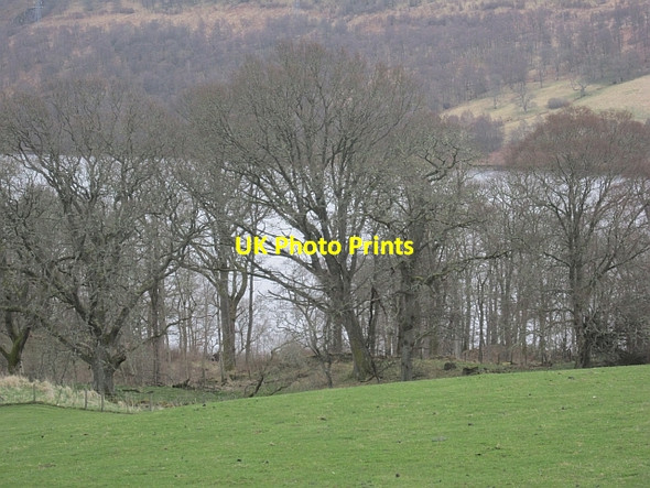 Photo 6"x4" Woodland beside Loch Tummel Tressair c2013