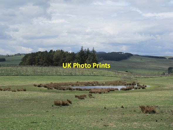 Photo 6"x4" Pond, Easter Hill Glendearg\/NT5138 c2013
