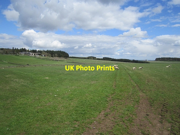 Photo 6"x4" Housebyers to Mosshouses path Mosshouses\/NT5339 c2013