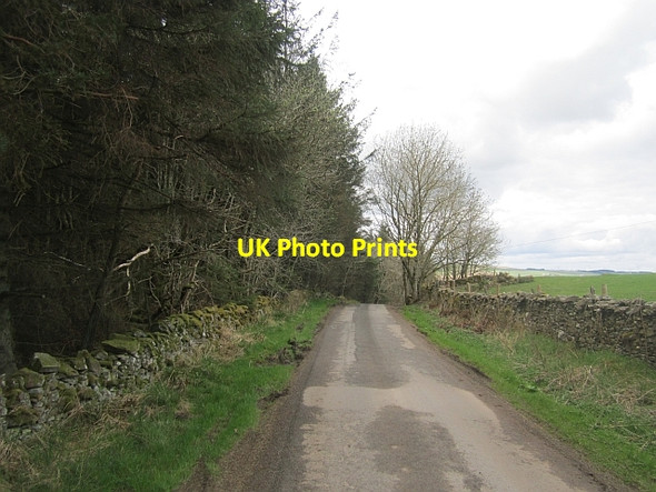 Photo 6"x4" Minor road, Langshaw Colmslie c2013