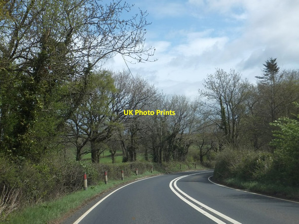 Photo 6"x4" Woodland beside A386 (Narratons Road) Okehampton c2013