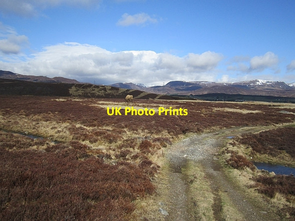 Photo 6"x4" Moorland, Milton of Nuide Newtonmore c2013