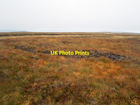 Photo 6"x4" Bog, Pollnalaght Drumquin c2012