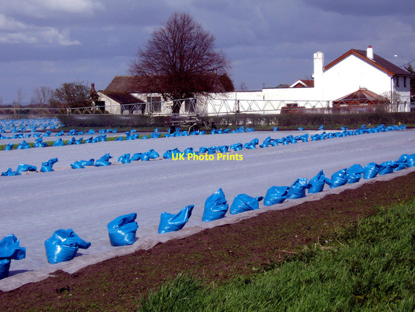 Photo 6"x4" Blue Bags Hoscar c2013