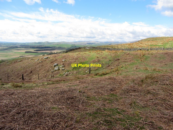 Photo 6"x4" Bracken covered moorland between Tick Law and Bewick Hill New Bewick c2013
