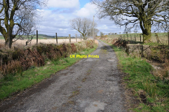 Photo 6"x4" End of the road Talley c2013