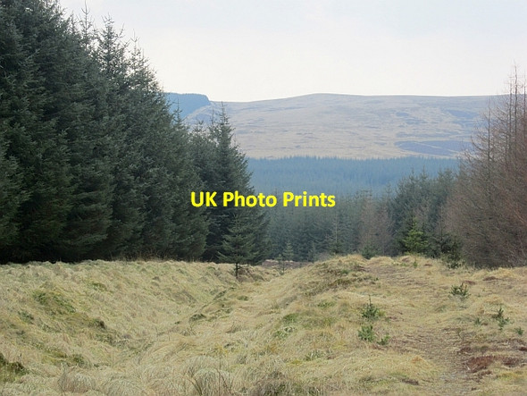 Photo 6"x4" Track above the Glespin Water Andershaw Fm c2013