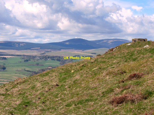 Photo 6"x4" Pill box, Bewick Hill New Bewick c2013