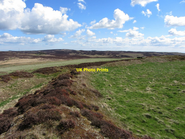 Photo 6"x4" Ramparts of west section of hillfort, Bewick Hill New Bewick c2013