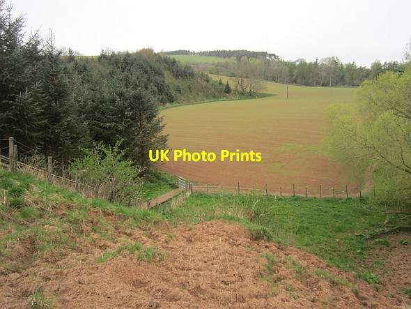 Photo 6"x4" Mark Haugh Redpath\/NT5835 c2013