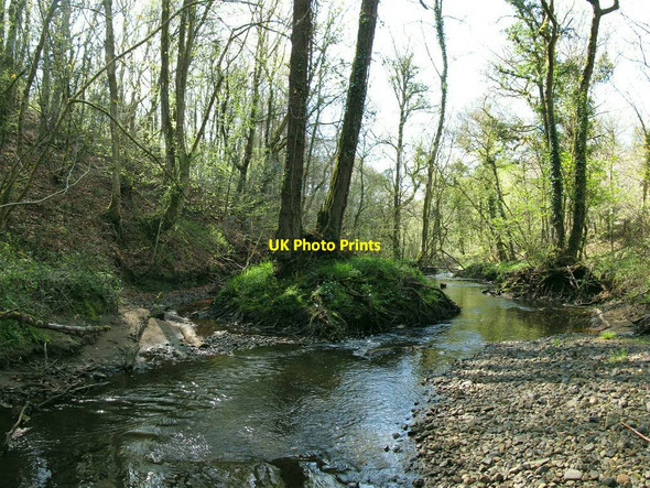Photo 6"x4" Divergence on the river Llan Heol-ddu\/SS6498 c2013