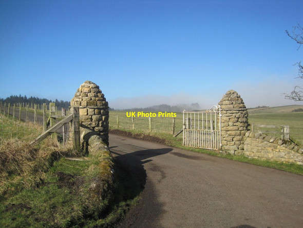Photo 6"x4" Ornamental Gate Posts leading to Todridge Great Whittington c2013